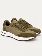 Olive Cove Trainer