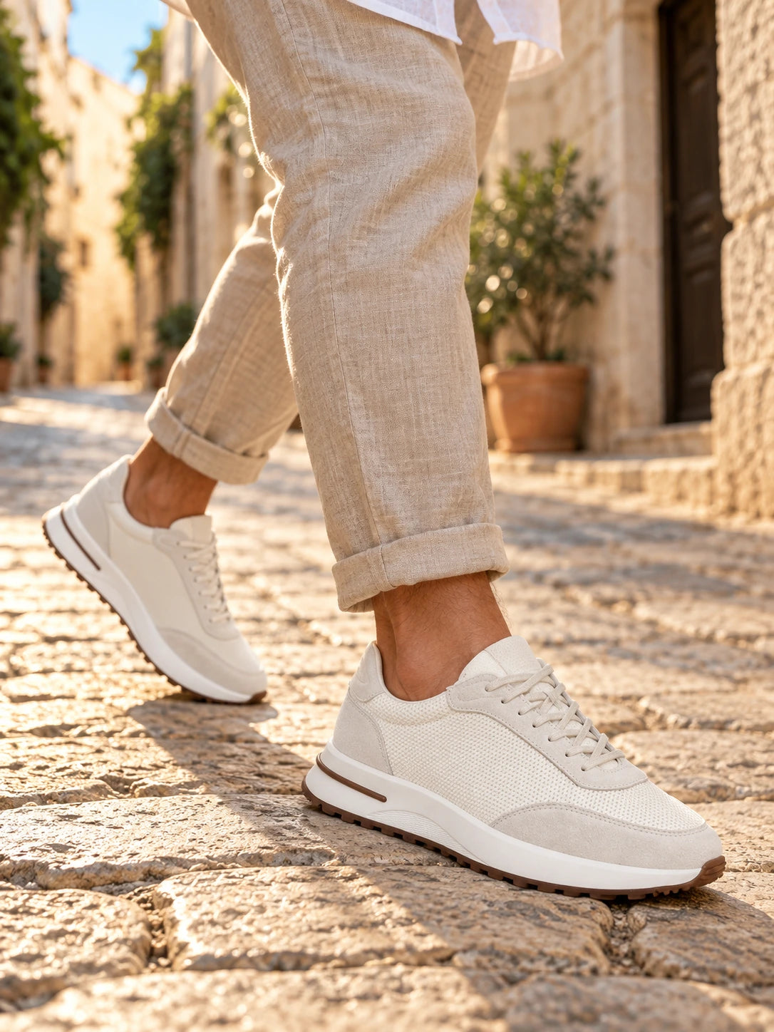 White Cove Trainer